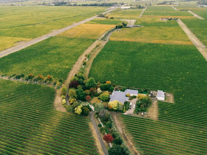 Redrawing the Map: How Climate Migration Is Quietly Transforming American Wine Country