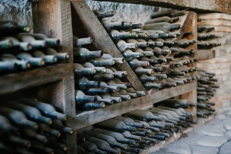Forgotten and Found: The Surprising Magic of Wines You Never Meant to Age