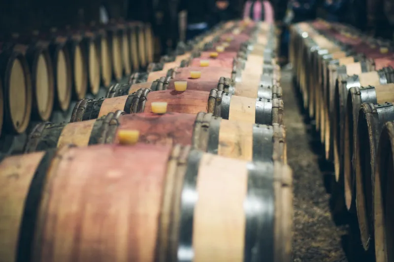The Productive Failure: How America's Most Inventive Winemakers Turn Mistakes Into Mastery